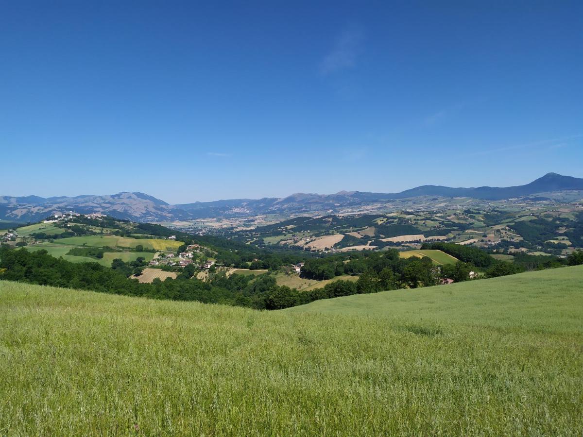 All Inbasilicata Bed & Breakfast Baragiano エクステリア 写真